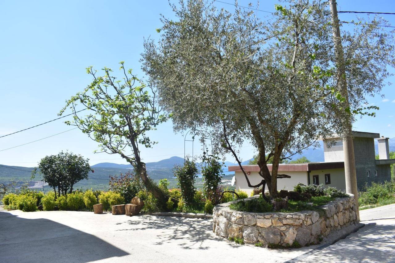 Apartment Macic Dub I Kotor Buitenkant foto