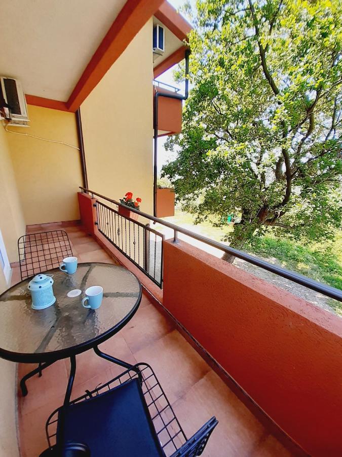 Apartment Macic Dub I Kotor Buitenkant foto